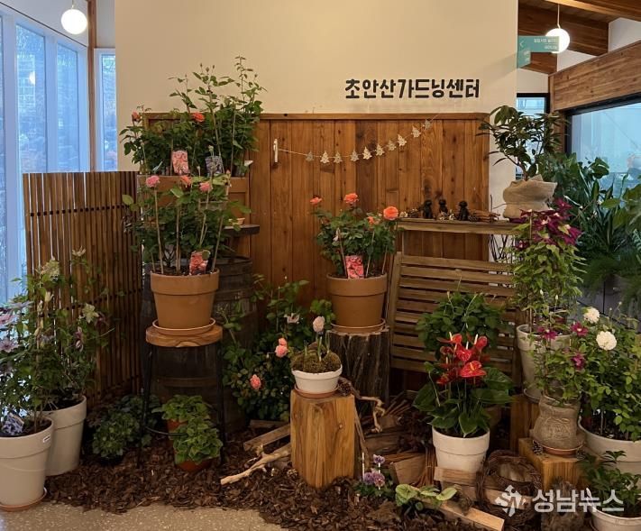 다양한 종류의 꽃과 식물들이 도봉구 초안산가드닝센터 내에 전시돼 있다