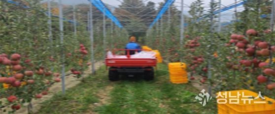 평면형 과원 전경