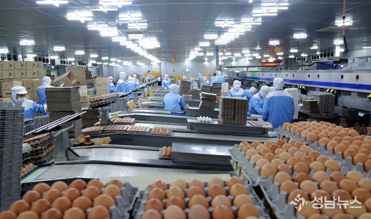 태백시 스마트축산단지, 대형 축산기업 2,000억 원 규모 투자의향서 제출