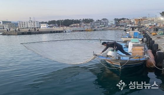 분기초망 그물 전개