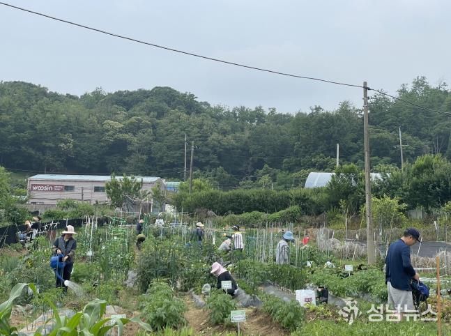지난해 주말농장 참여자들이 농업 체험을 하고 있다.