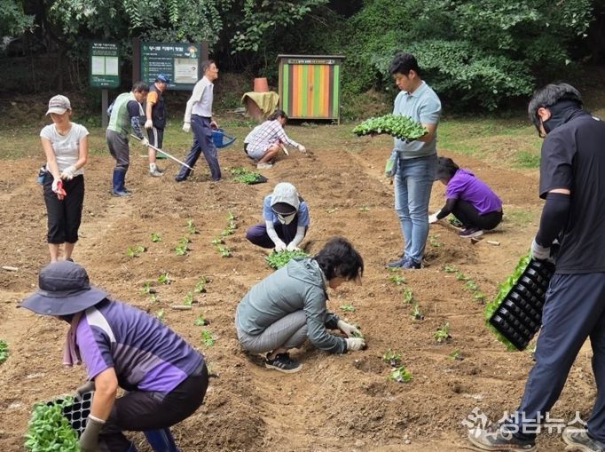 광진구, 가족과 함께 가꾸는 도심 속 자투리텃밭 확대 운영