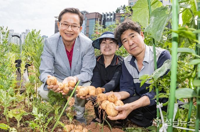 2024년 도시텃밭 활동 사진