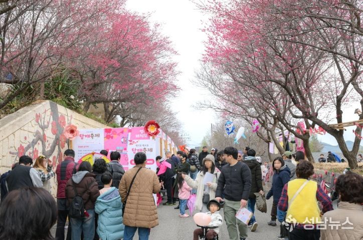 ‘제8회 매곡동 탐매축제’