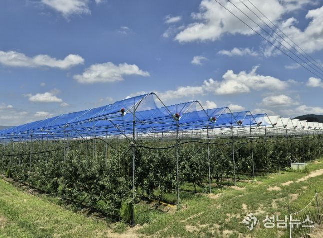 보은군, 스마트 과수원 특화단지 조성사업 본격 추진