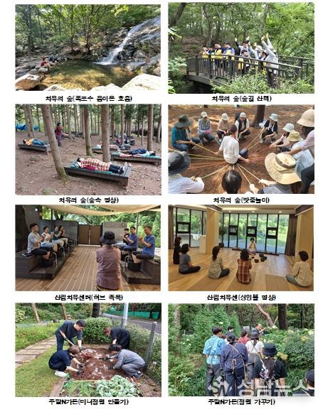 산림여가 프로그램 운영