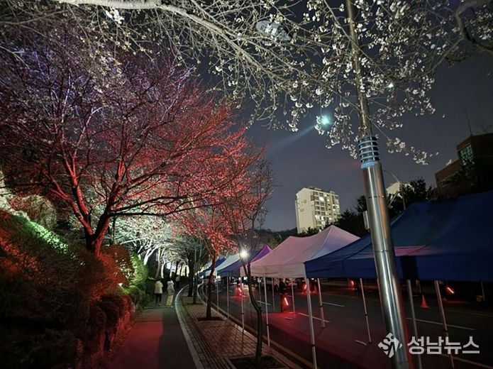 지난해 도촌 봄맞이길 벚꽃축제 때