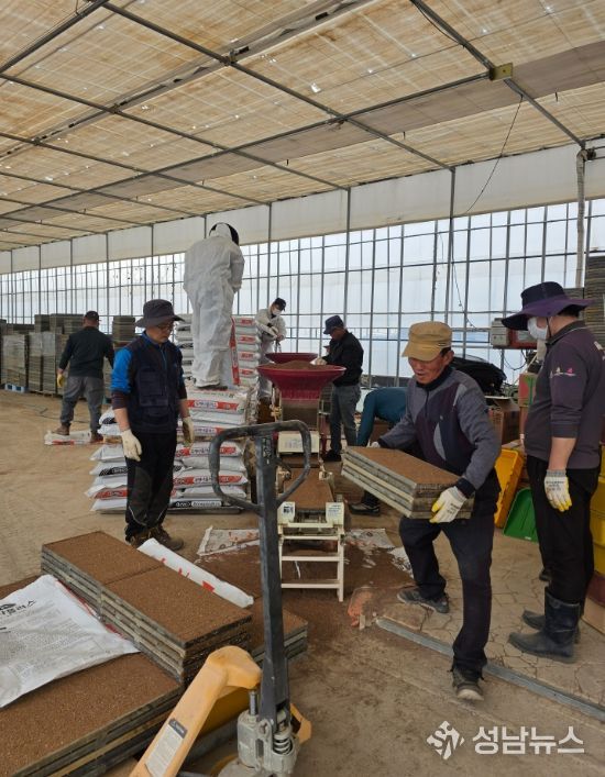 강릉시, 본격 벼 육묘작업 추진